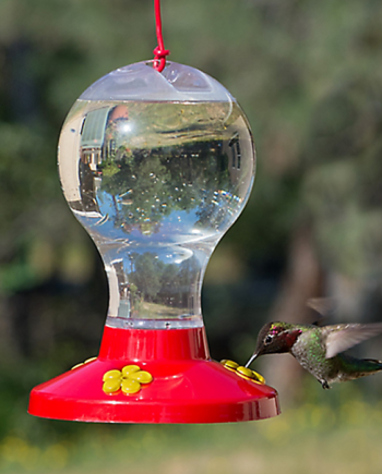 Perky Pet 16oz.Garden Song Clear Plastic Hummingbird Feeder