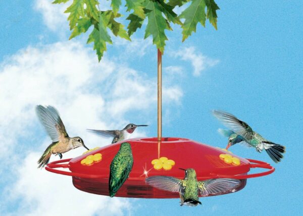 Perky Pet Hummingbird Oasis 16 oz