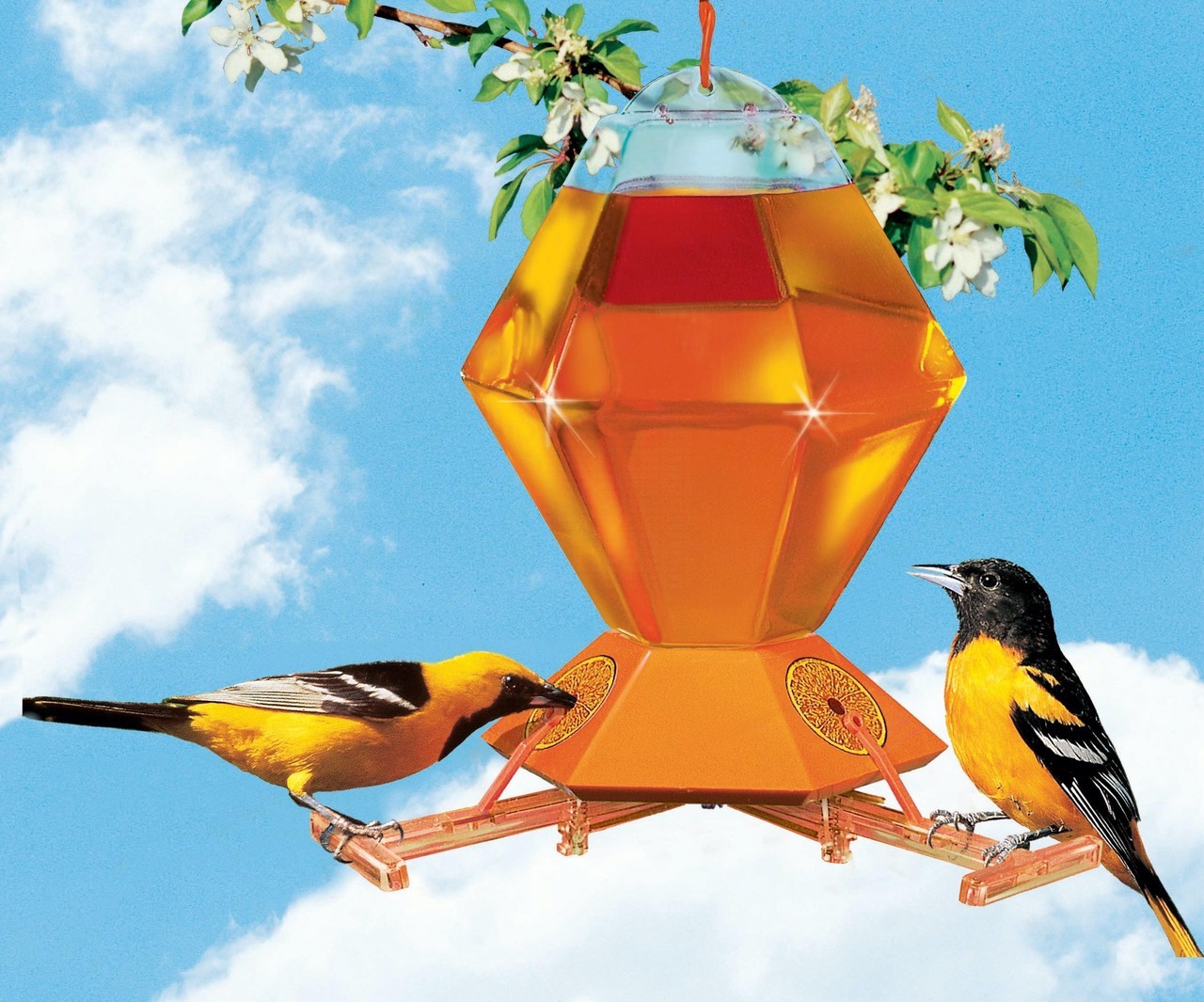Perky Pet Hex Oriole Feeder w/Bee Guards 36 ozPP252