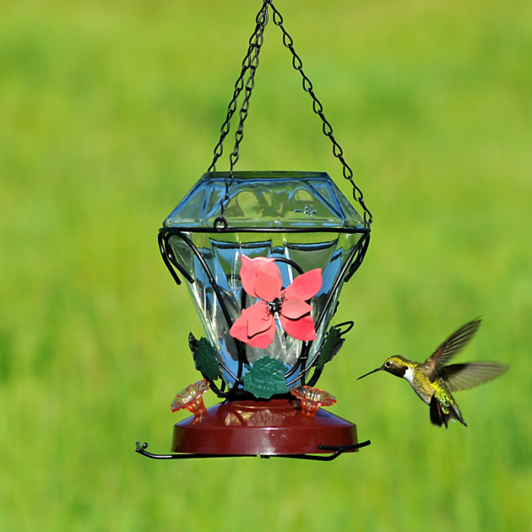 Perky Pet Blossom Edition Glass Hummingbird Feeder