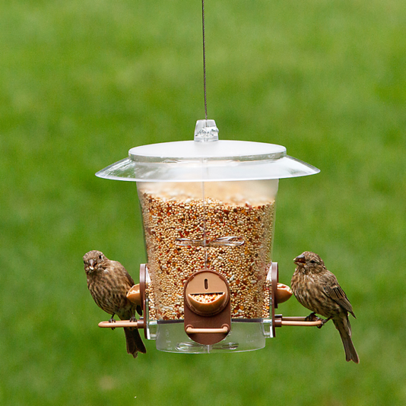 PerkyPet 733 Metro 2in1 Bird FeederPP733