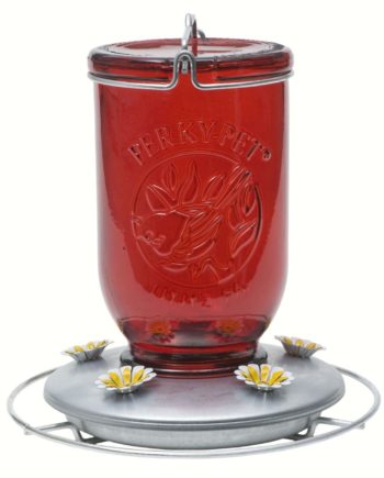 Perky Pet Red Mason Jar Glass Hummingbird Feeder